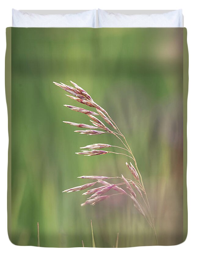 Agriculture Duvet Cover featuring the photograph Summer hay seeds by Karen Rispin