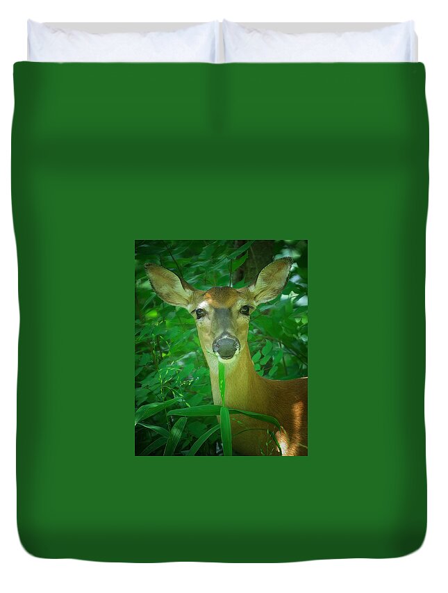 Deer Duvet Cover featuring the photograph Summer Lady by DArcy Evans