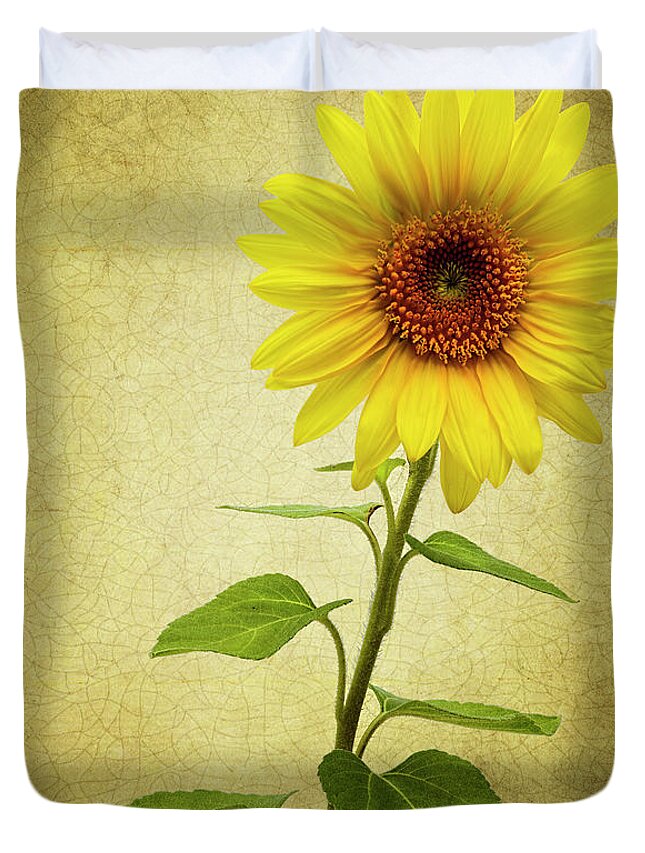 Photograph Duvet Cover featuring the photograph Sun Flower by Reynaldo Williams