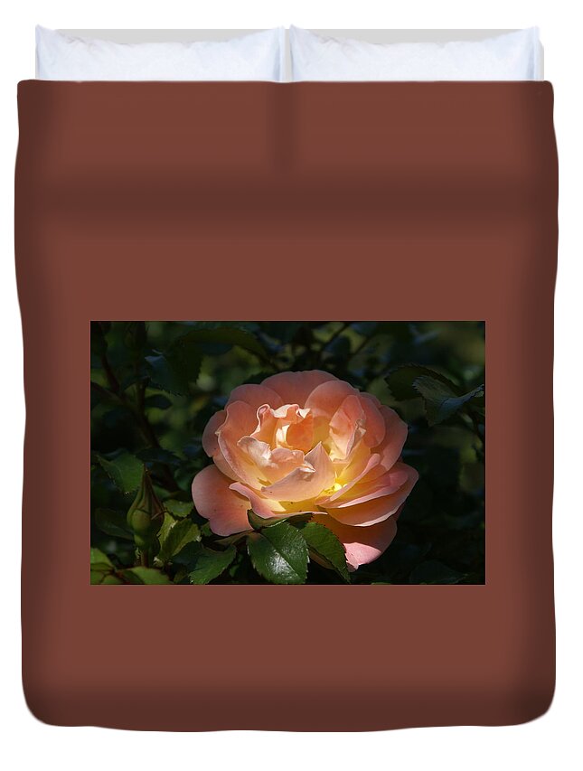  Duvet Cover featuring the photograph Sun-kissed Rose by Heather E Harman