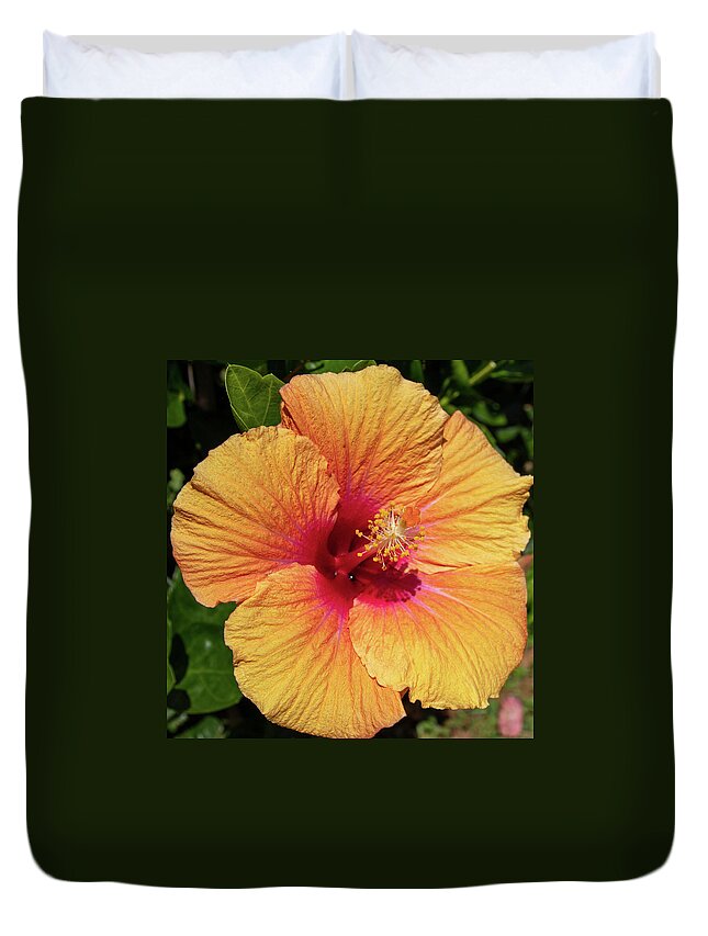 Hibiscus Duvet Cover featuring the photograph Sun Reflection by Tony Spencer