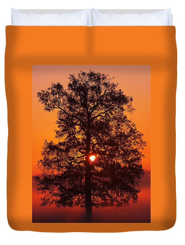 Sunrise Duvet Cover featuring the photograph Sun Tree two by Luc Van de Steeg