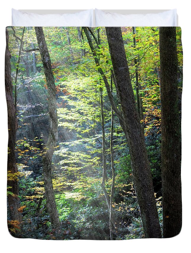 Fall Duvet Cover featuring the photograph Sunbeams through the Trees Creeper Trail Damascus Virginia by Debra and Dave Vanderlaan