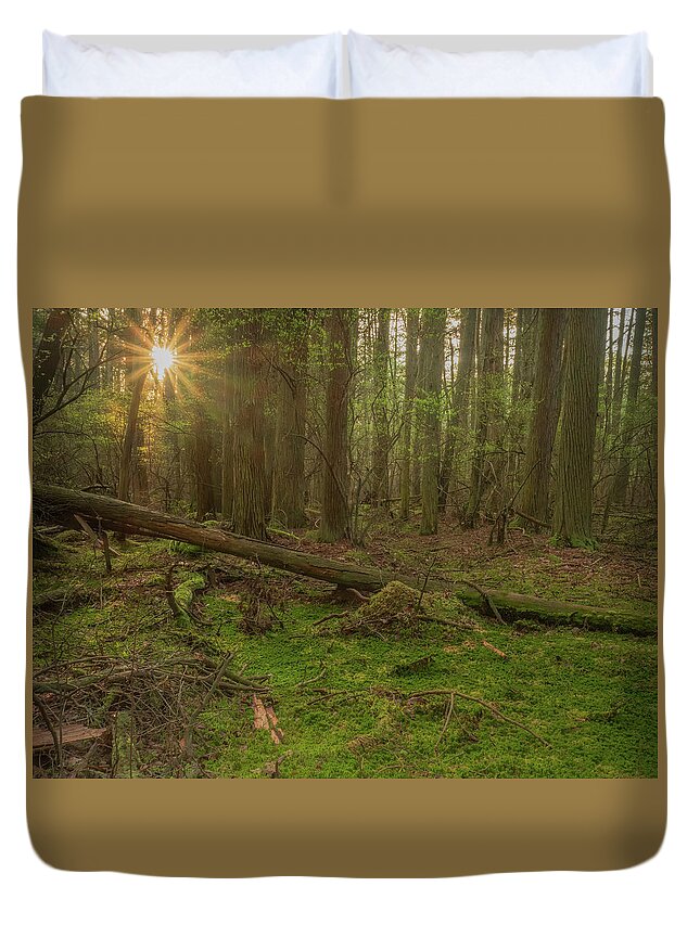 New Jersey Duvet Cover featuring the photograph Sunburst Through The Cedars by Kristia Adams