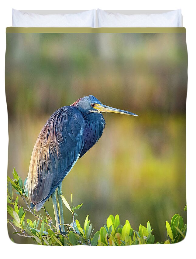 R5-2601 Duvet Cover featuring the photograph Sunday morning scout by Gordon Elwell