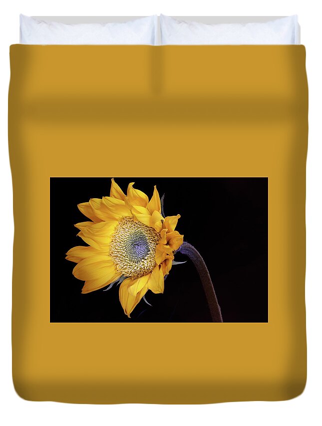 Macro Duvet Cover featuring the photograph Sunflower 031708 by Julie Powell