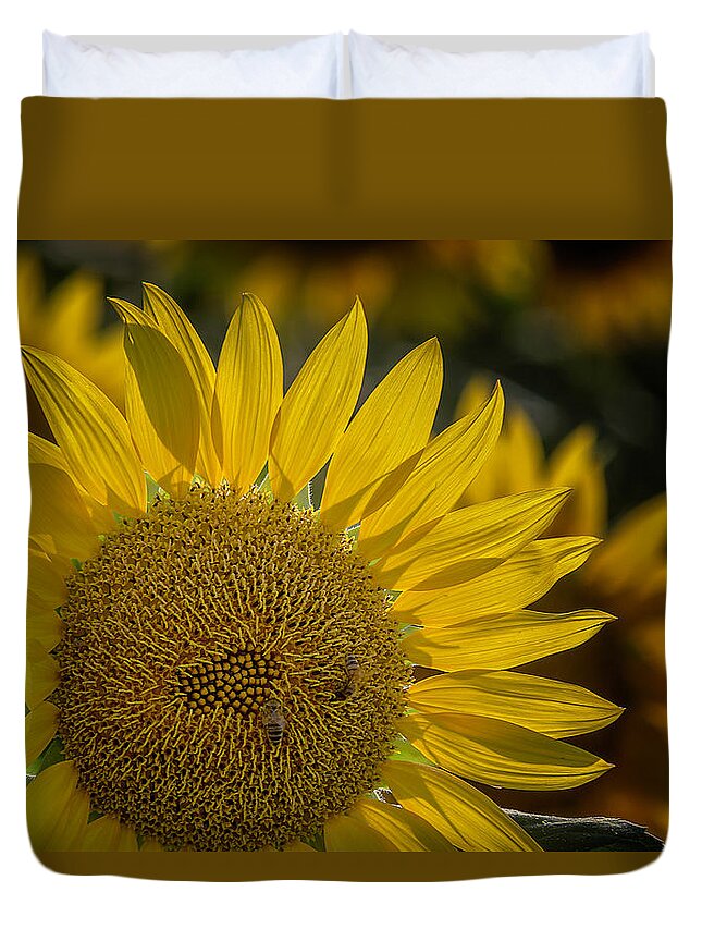 Flowers Duvet Cover featuring the photograph Sunflower 2021 by Wolfgang Stocker