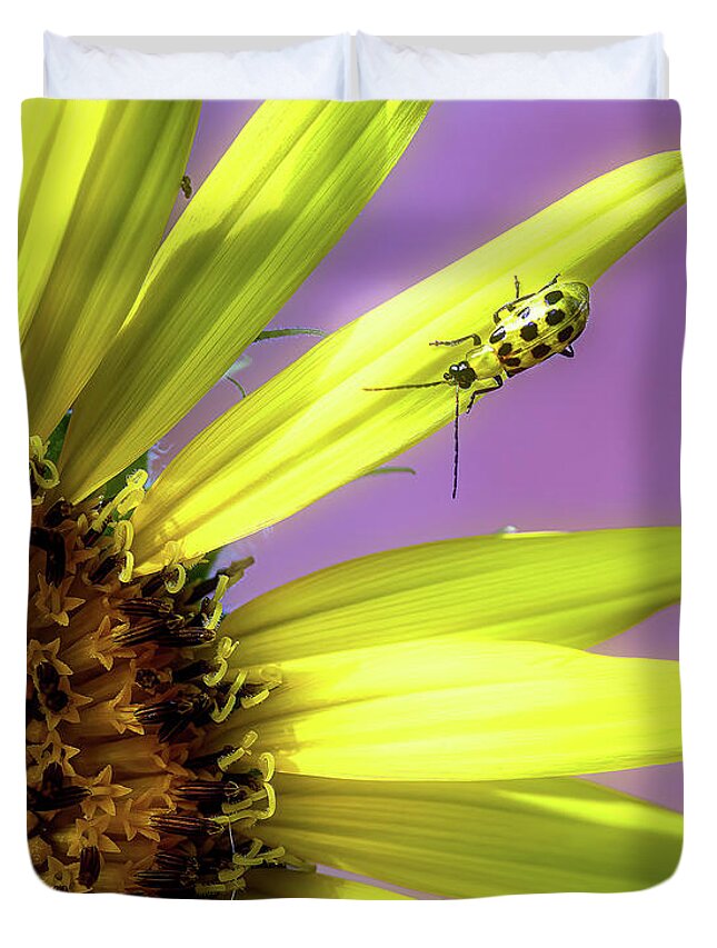Sunflower Duvet Cover featuring the photograph Sunflower and Friend by Cheri Freeman