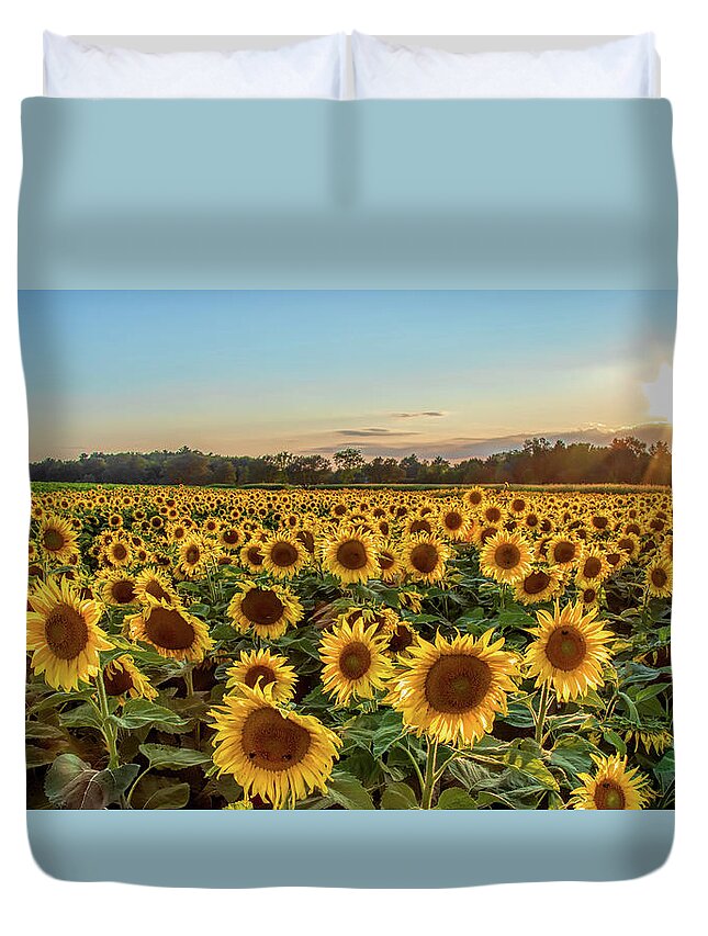 Sunflower Duvet Cover featuring the photograph Sunflower City by Rod Best