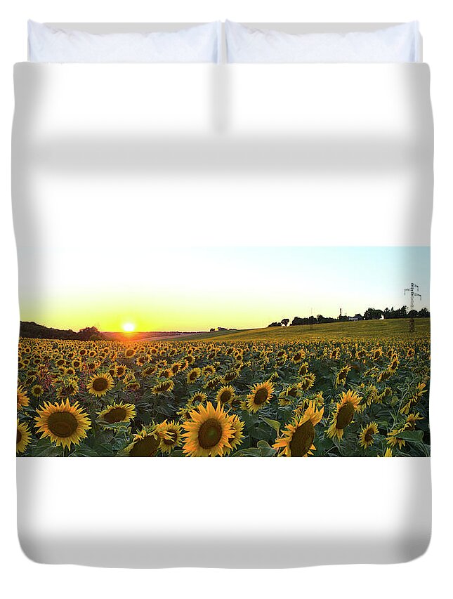Sunflower Duvet Cover featuring the photograph Sunflower field sunset panorama by Sean Hannon