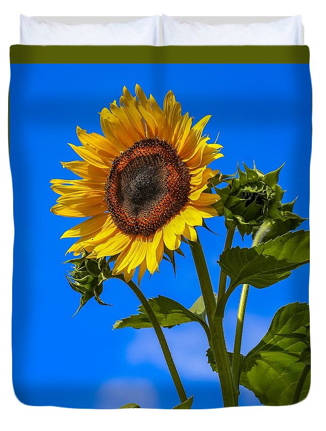 Flower Duvet Cover featuring the photograph Sunflower Portrait by Kevin Craft
