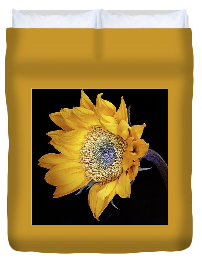 Botanical Duvet Cover featuring the photograph Sunflower Square by Julie Powell