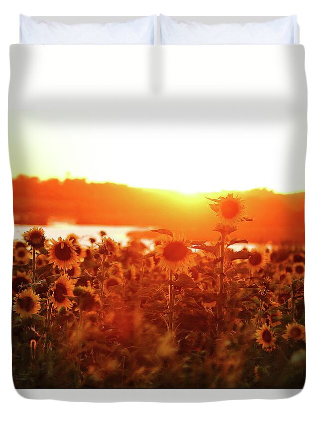 Summer Duvet Cover featuring the photograph Sunflower Sunset by Lens Art Photography By Larry Trager