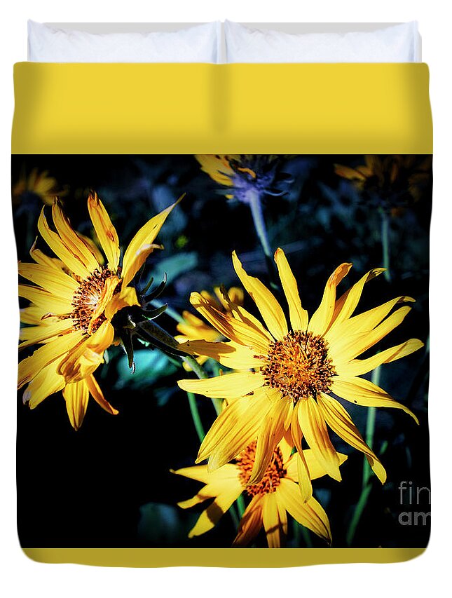 Sunflower Duvet Cover featuring the photograph Sunflower by Thomas Nay