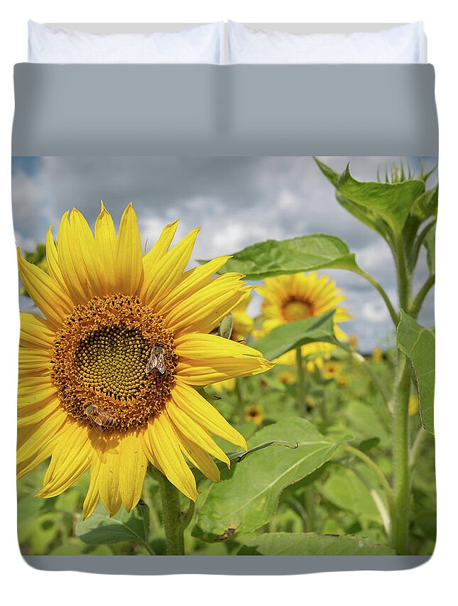 Sunflower Duvet Cover featuring the photograph Sunflower with Honeybee by Carolyn Hutchins