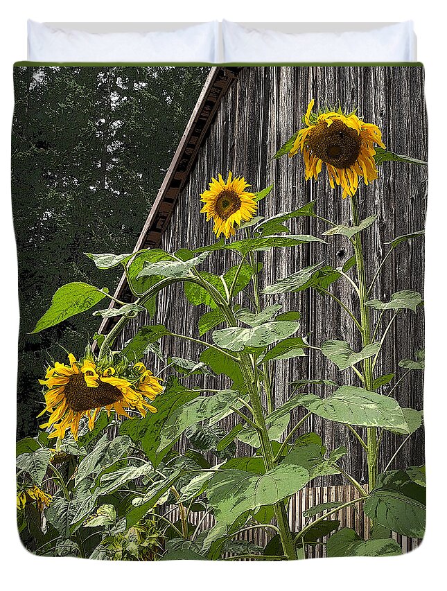 Sunflower Duvet Cover featuring the photograph Sunflowers and Old Barn by Jeanette French