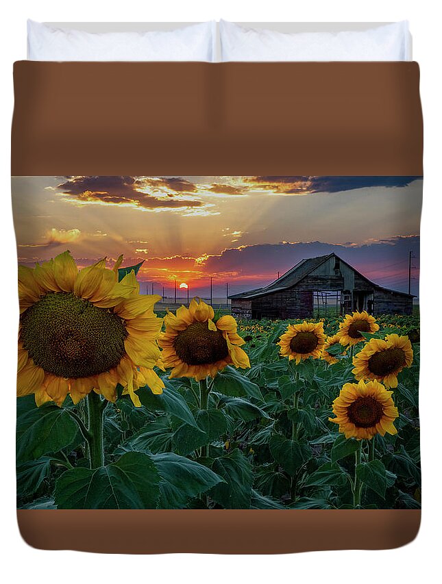 Sunflower Duvet Cover featuring the photograph Sunflowers and the Old Barn by David Soldano
