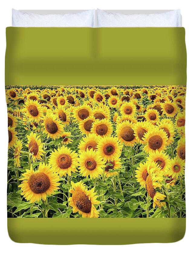 Sunflowers Duvet Cover featuring the photograph Sunflowers As Far As The Eye Can See by Marcy Wielfaert