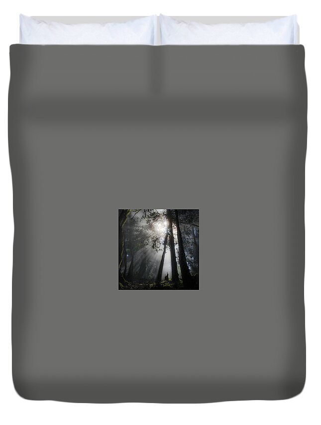 Sunlight Duvet Cover featuring the photograph Sunlight in the forest by Donald Kinney