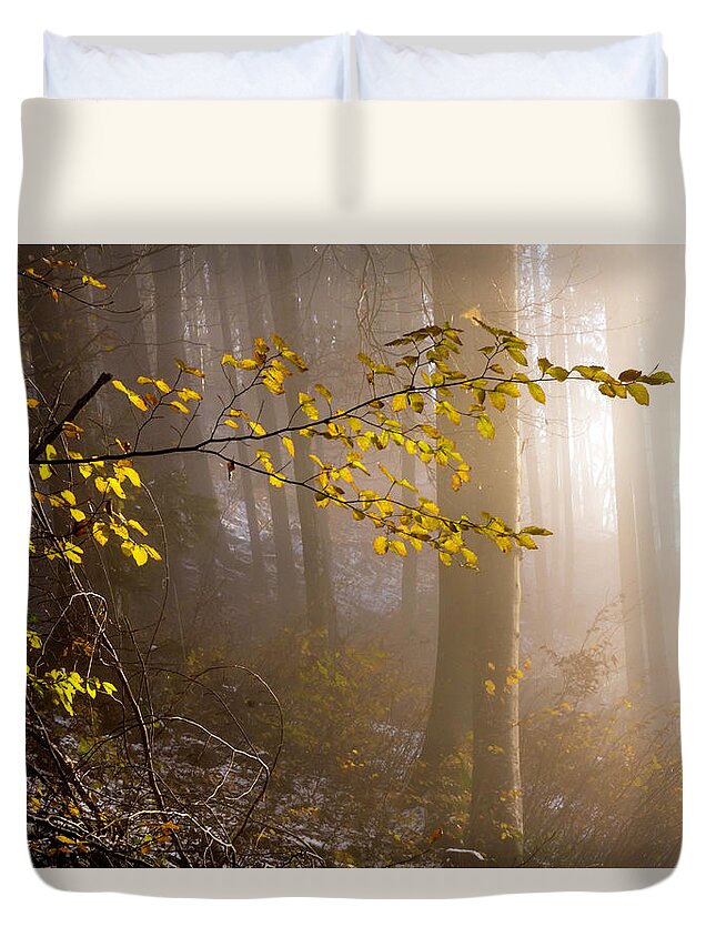 Forest Duvet Cover featuring the photograph Sunlight meets the forest by Wolfgang Stocker