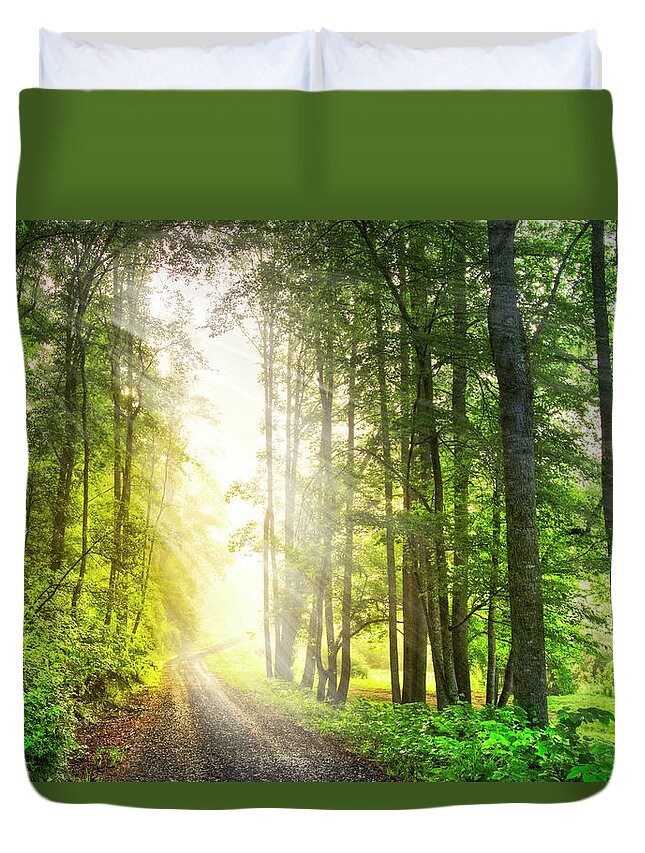 Carolina Duvet Cover featuring the photograph Sunlight through the Fog by Debra and Dave Vanderlaan