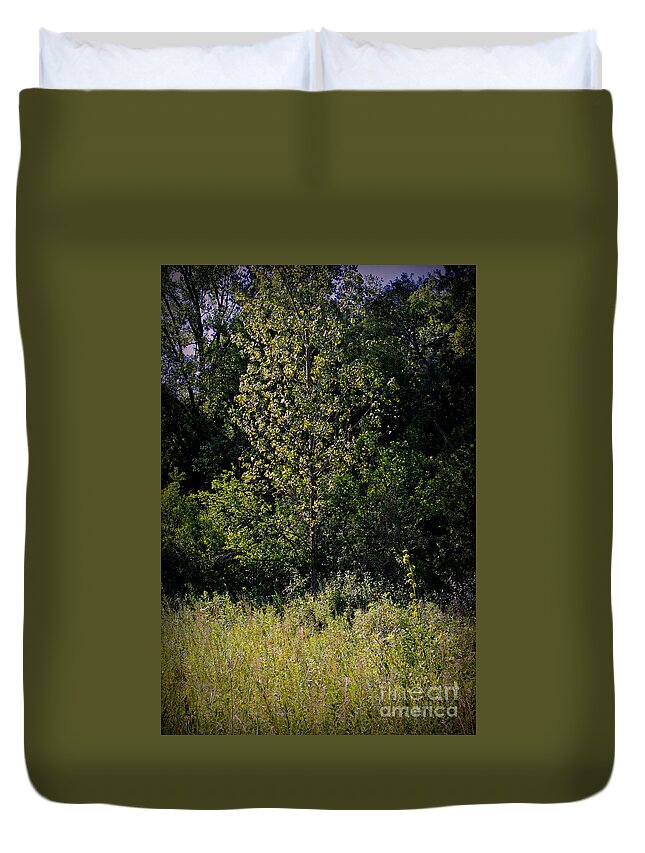Nature Duvet Cover featuring the photograph Sunlit Tree in the Wetlands by Frank J Casella