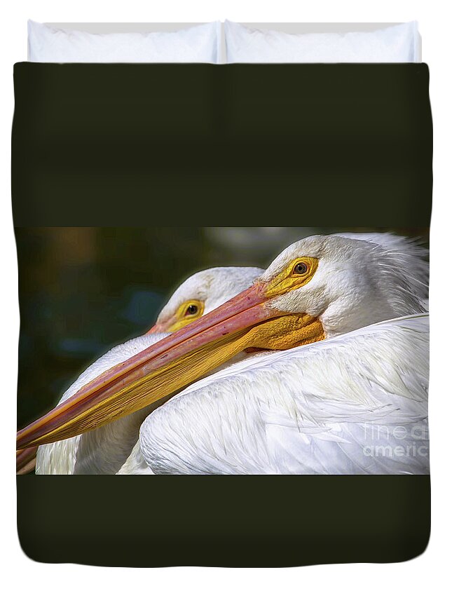 American White Pelicans Duvet Cover featuring the photograph Sunning by the Lake by Joanne Carey
