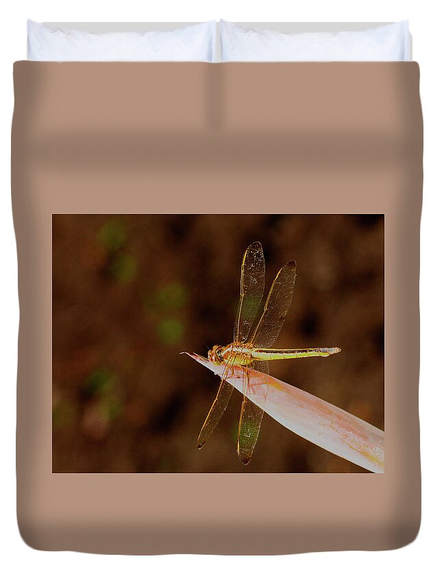 Dragonfly Duvet Cover featuring the photograph Sunning Dragon by Bill Barber