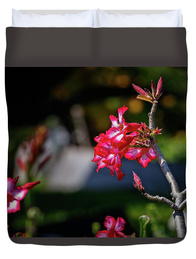 Flower Duvet Cover featuring the photograph Sunning Flower by Les Greenwood