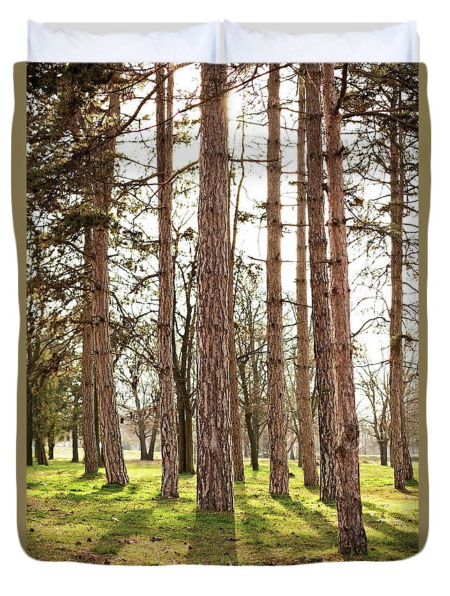 Forest Duvet Cover featuring the photograph Sunny pine tree forest by Mendelex Photography