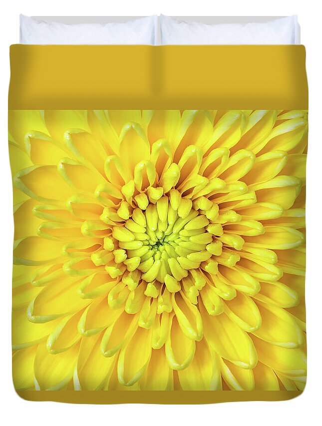 Chrysantemum Duvet Cover featuring the photograph Sunny Side Up by Elvira Peretsman