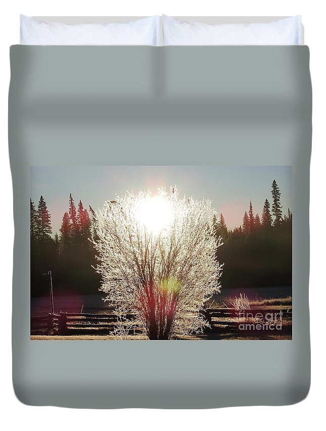 Sunrise Duvet Cover featuring the photograph Sunrise on the meadow. by Nicola Finch