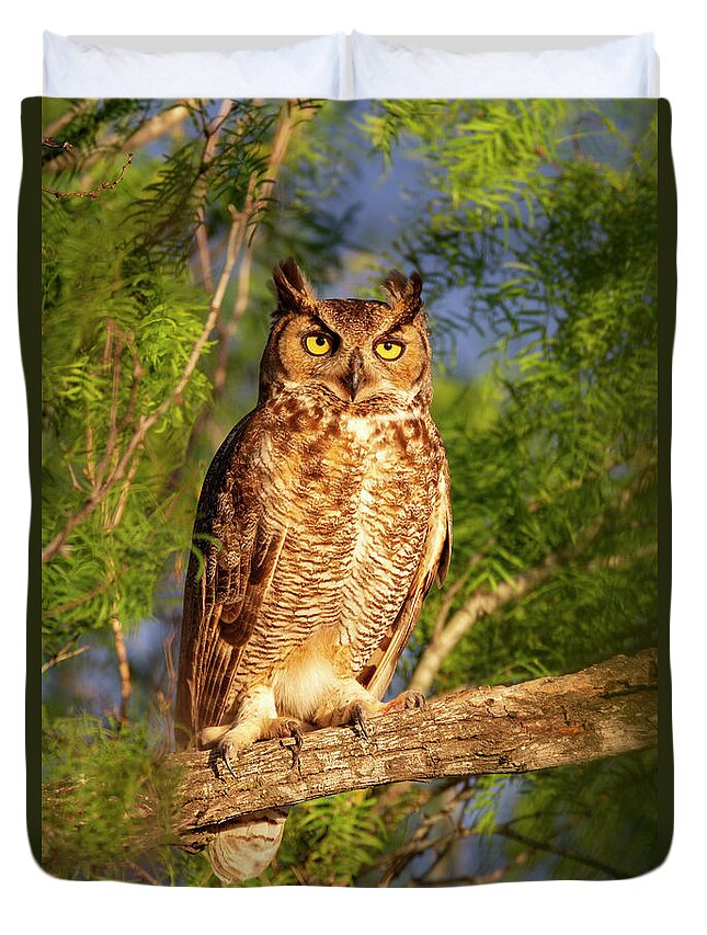 Owl Duvet Cover featuring the photograph Sunrise Owl by D Robert Franz
