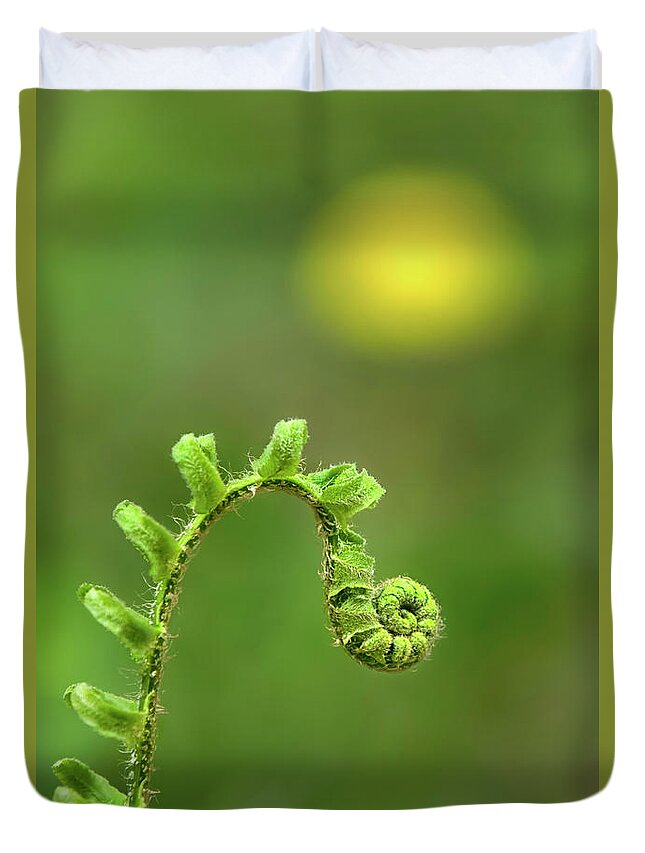 Fern Duvet Cover featuring the photograph Sunrise Spiral Fern by Christina Rollo