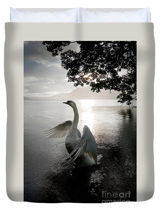England Duvet Cover featuring the photograph Sunrise Swan, Ullswater by Tom Holmes Photography