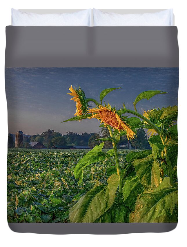 Tennessee Duvet Cover featuring the photograph Sunrise With Sunflowers by Marcy Wielfaert