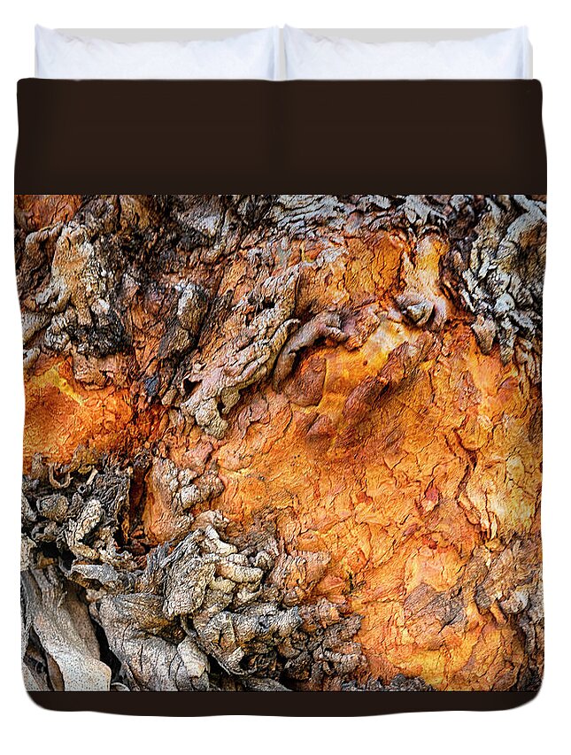 Australia Duvet Cover featuring the photograph Sunset Bark by Jay Heifetz