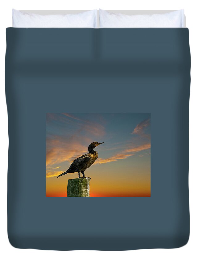 Bird Duvet Cover featuring the photograph Sunset Cormorant by Cathy Kovarik