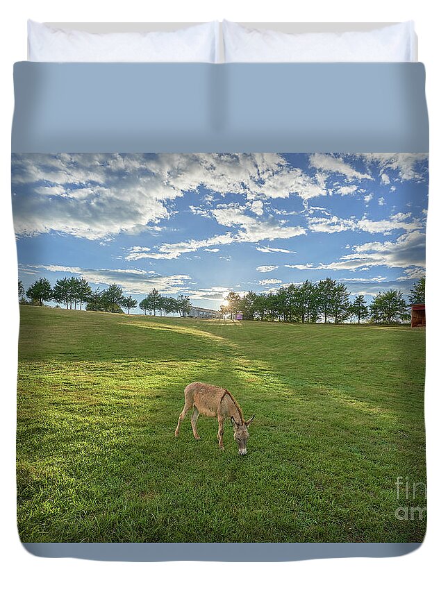 Usa Duvet Cover featuring the photograph Sunset Donkey by Brian Kamprath