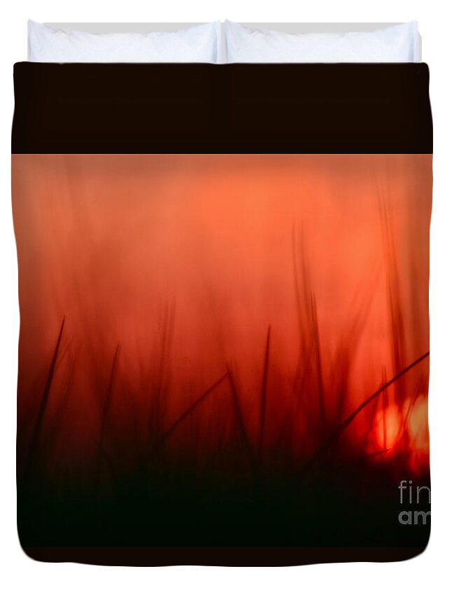 Skatet Beach Duvet Cover featuring the photograph Sunset Grass Afterglow by Debra Banks