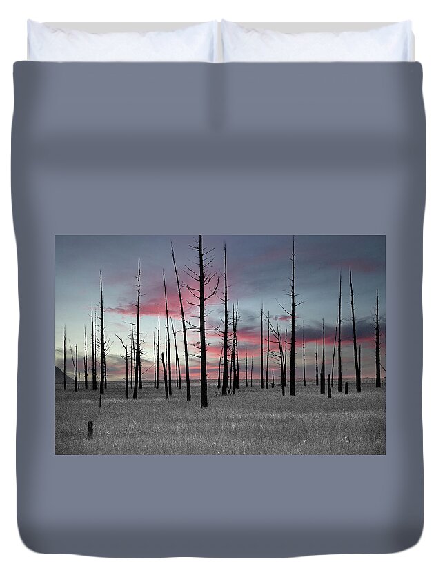 Art Duvet Cover featuring the photograph Sunset in the Cedar Swamp by Louis Dallara