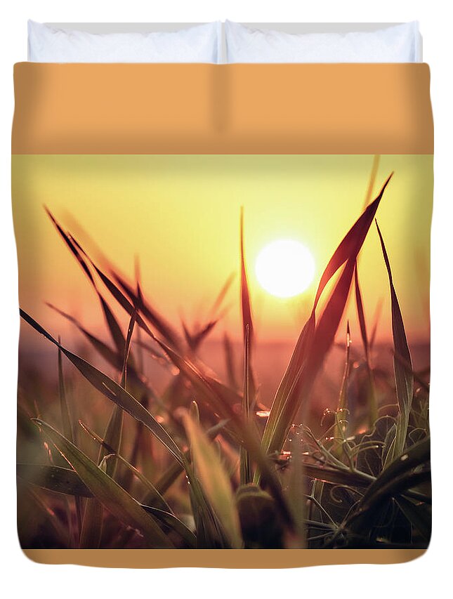 Soil Duvet Cover featuring the photograph Sunset on a grass field by Vaclav Sonnek