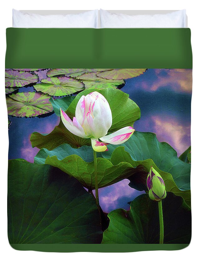 Lotus Duvet Cover featuring the photograph Sunset Pond Lotus by Jessica Jenney