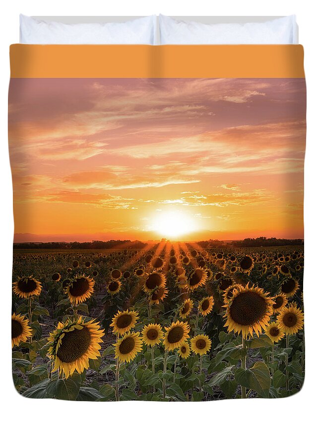 Landscape Duvet Cover featuring the photograph Sunset Sunflowers by Phillip Rubino