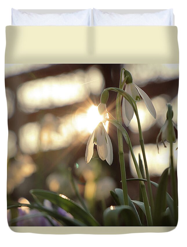Misty Duvet Cover featuring the photograph Sunshine goes through Galanthus nivalis by Vaclav Sonnek