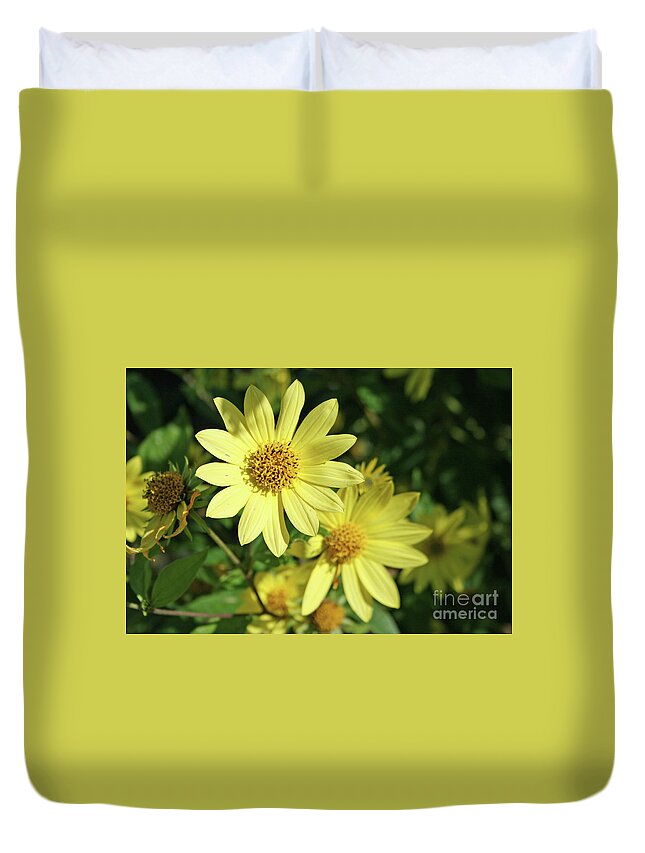 Sunshine Flowers By Norma Appleton Duvet Cover featuring the photograph Sunshine Flowers by Norma Appleton