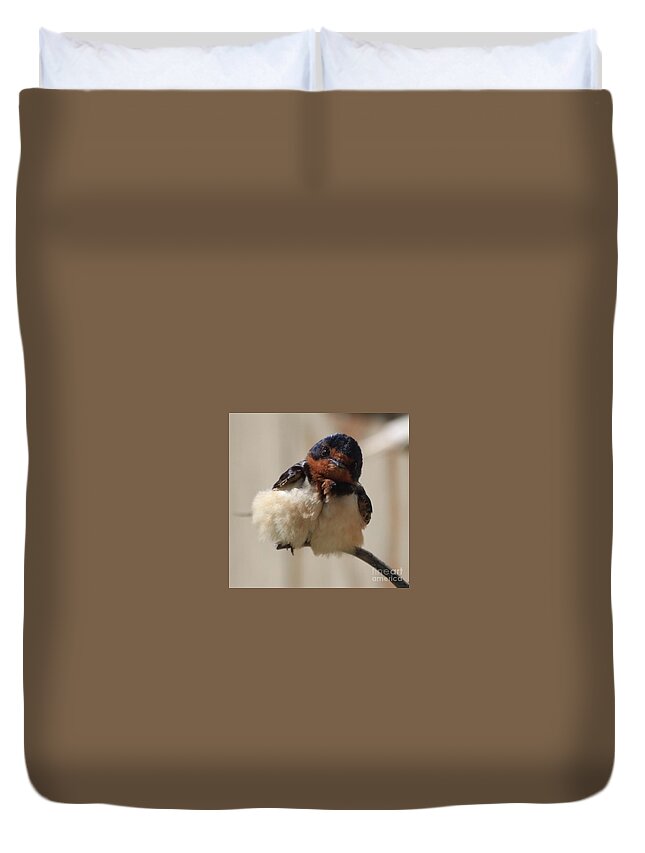 Swallow Duvet Cover featuring the photograph Swallow babe by Nicola Finch