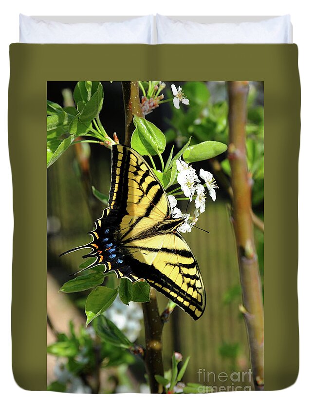 Animal Duvet Cover featuring the photograph Swallowtail Butterfly is enjoying feeding on a spring blossom by Gunther Allen
