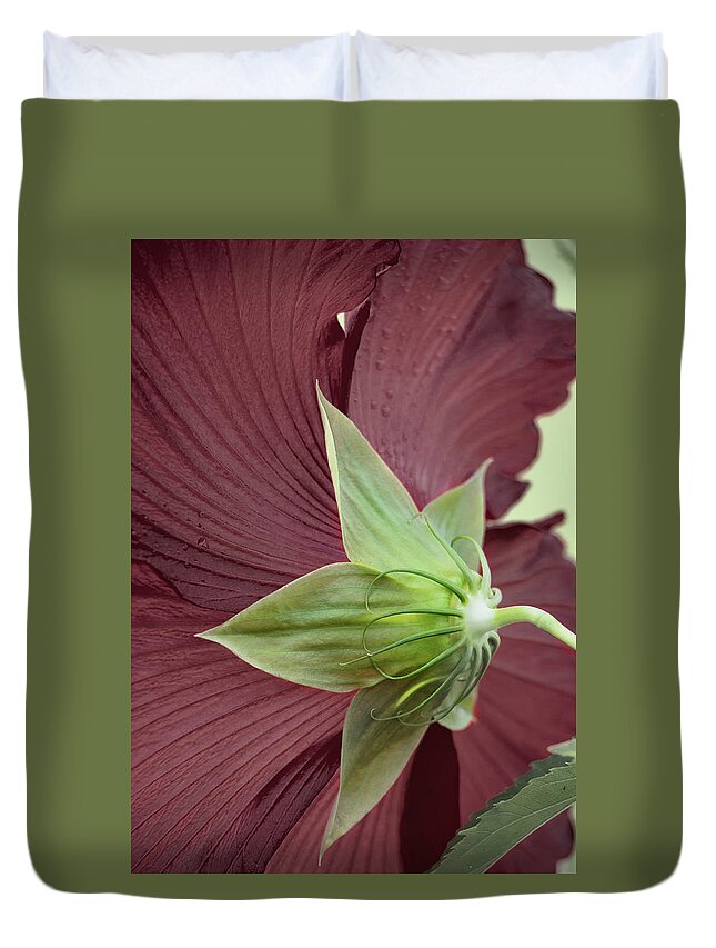 Hibiscus Duvet Cover featuring the photograph Swamp Hibiscus by M Kathleen Warren
