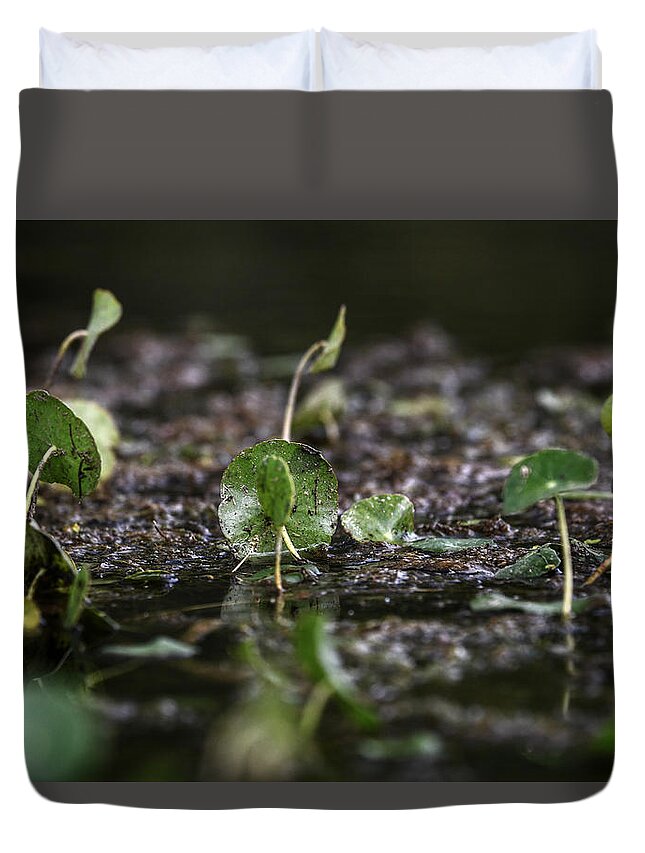 Photo Duvet Cover featuring the photograph Swamp Life by Evan Foster